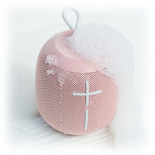 Wonderboom 06